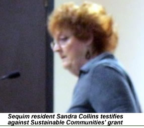 Sandra Collins