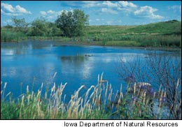 Previously drained wetlands can be restored to provide places for
wildlife to loaf and humans to daydream.