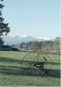 Olympic Mountains